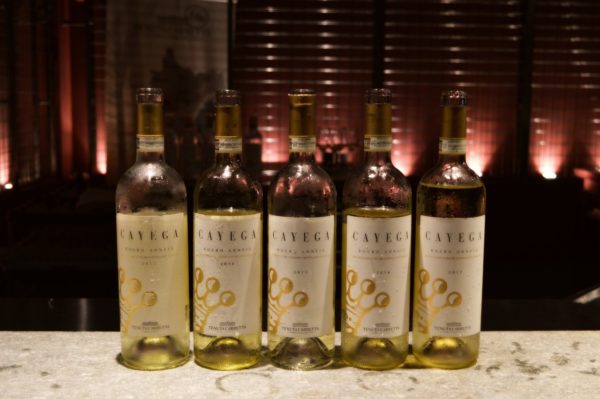 Casa Cayega 2019