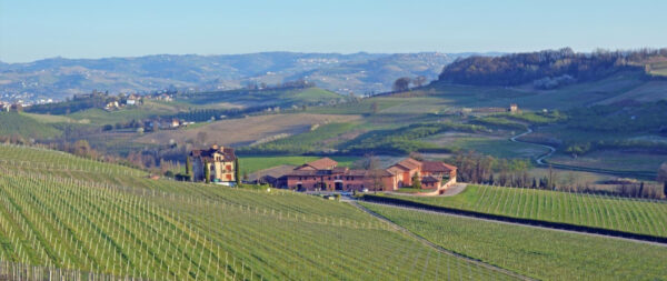 estate single vineyard